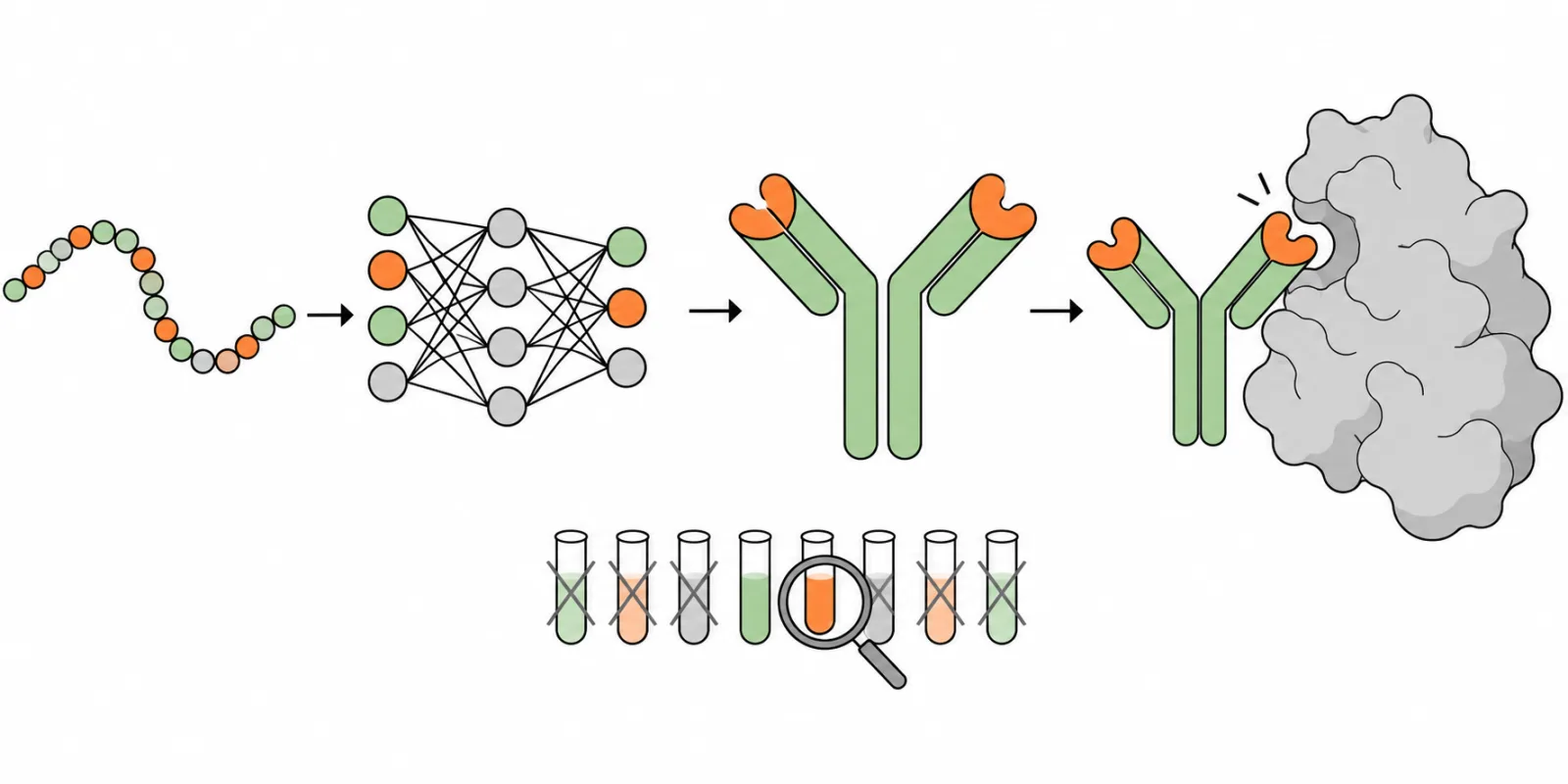 ai can now design antibodies from scratch 2