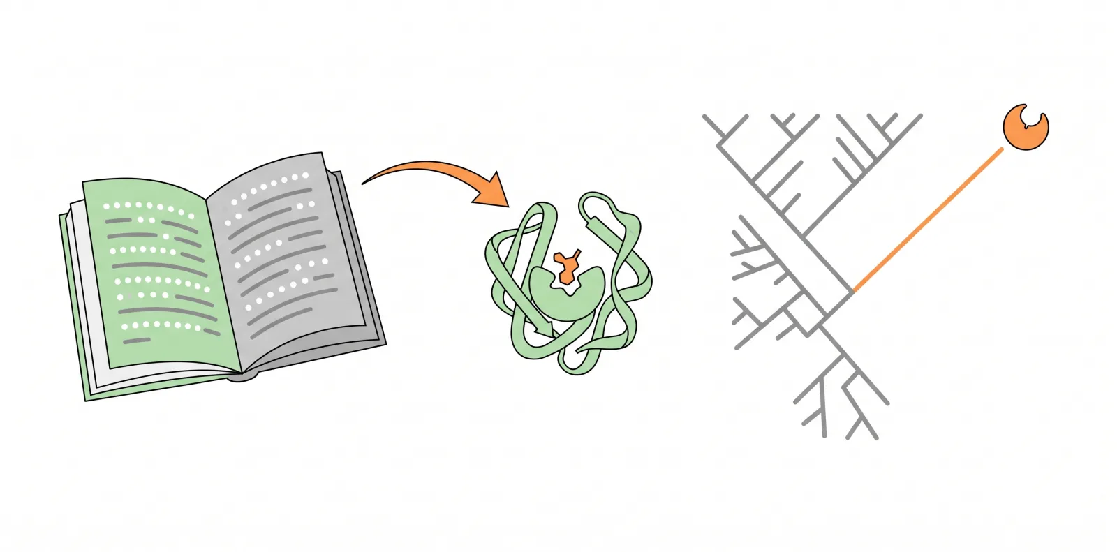 protein language models designing enzymes nobody has seen 2