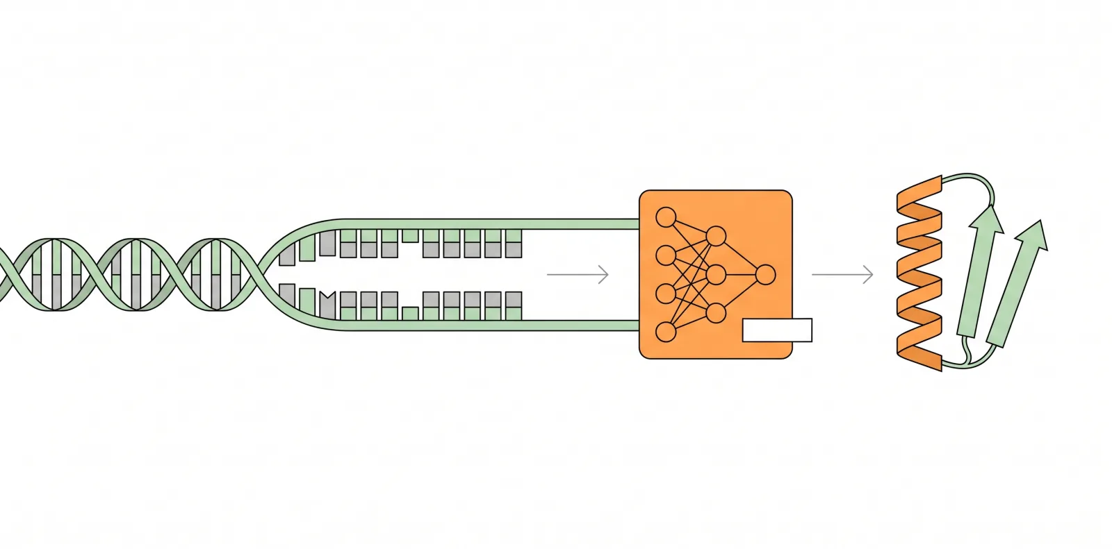 can ai read dna without knowing the genetic code 2